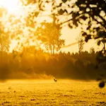 Toosikannu Nature & Tatil parkı Käru