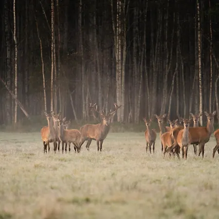 Puhkepark Toosikannu Nature &