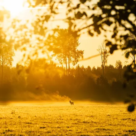 Toosikannu Nature 홀리데이파크 Käru