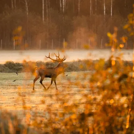 Puhkepark Toosikannu Nature & *