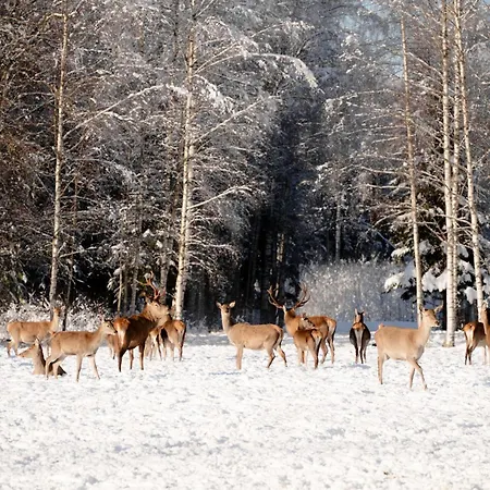 Toosikannu Nature & *