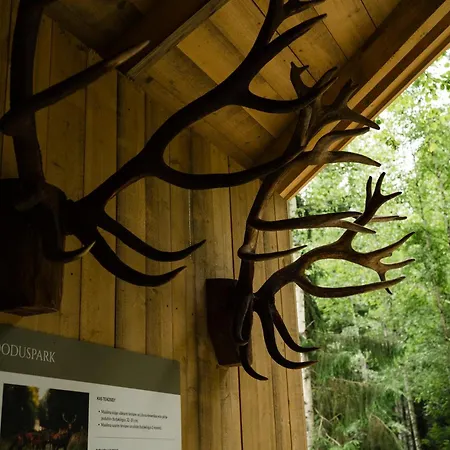 Toosikannu Nature & Tatil parkı *