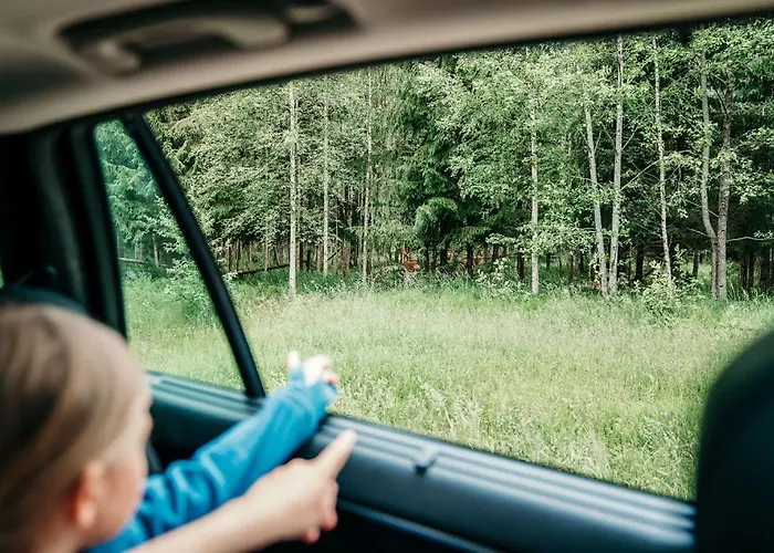 Toosikannu Nature & * Käru