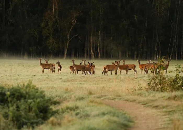 Toosikannu Nature & Käru