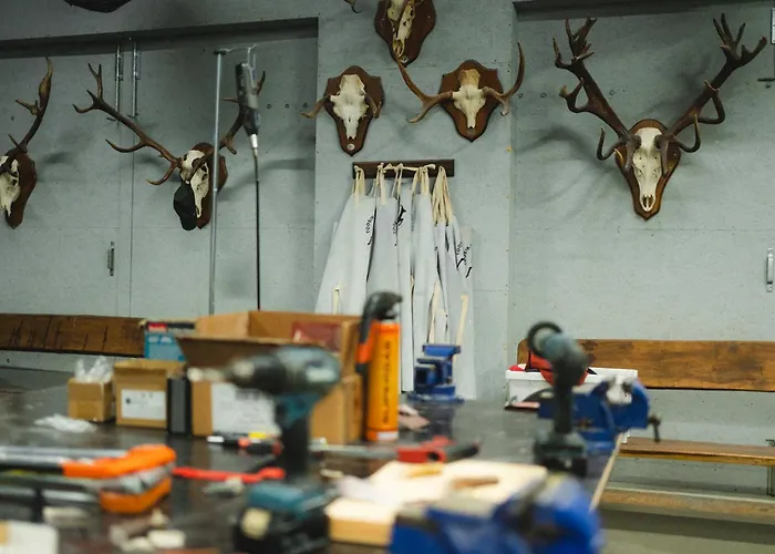 Toosikannu Nature & Kompleks wypoczynkowy Käru