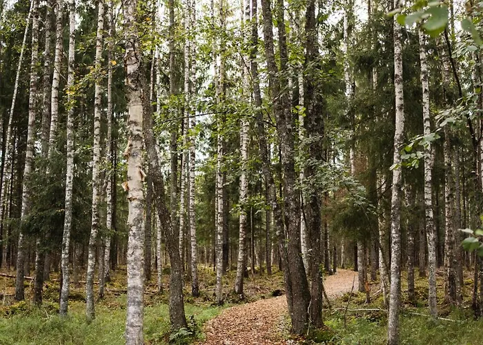 Kompleks wypoczynkowy Toosikannu Nature &
