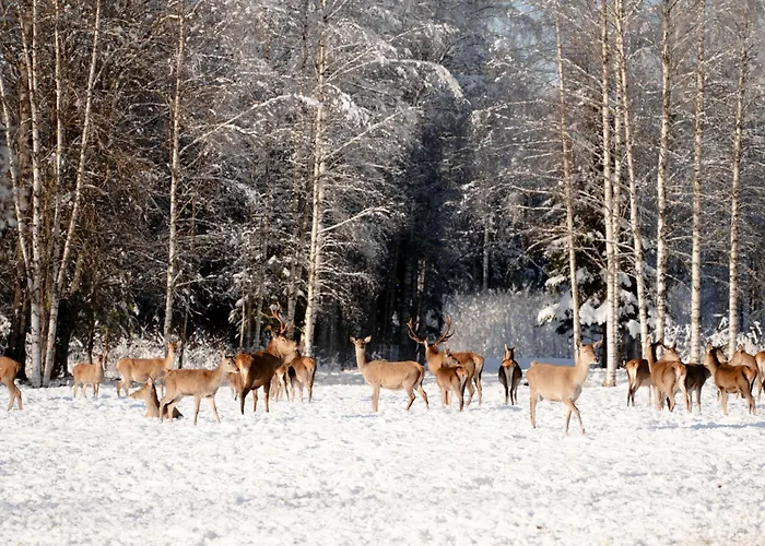 Toosikannu Nature & *